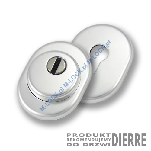 Szyld antywłamaniowy PROTECTOR AF-0138-AAd, dierre/chrom matowy