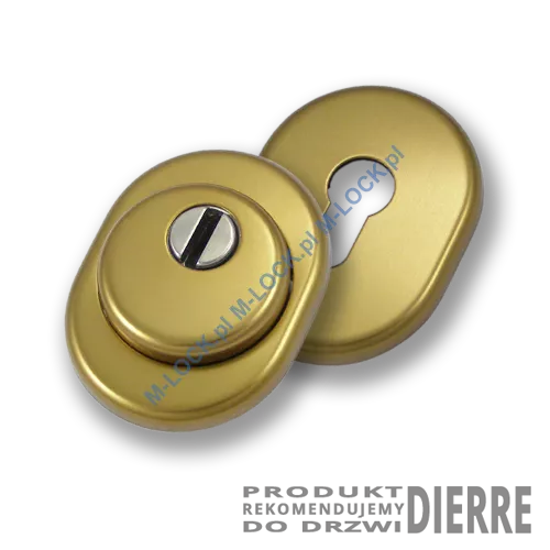 Szyld antywłamaniowy PROTECTOR AF-0138-ABd, dierre/stary mosiądz