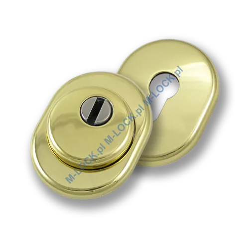 Szyld antywłamaniowy PROTECTOR AF-0138-OLV, mosiądz błyszczący