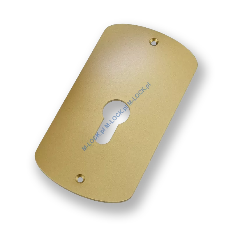 Szyld na wkładkę AF-PLACCA-SPEC-Y2-AB