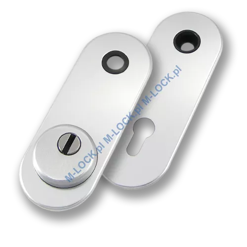 Szyld antywłamaniowy PROTECTOR AF-0338-AA, chrom matowy