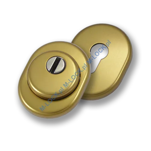 Szyld antywłamaniowy PROTECTOR AF-0138-AB, stary mosiądz