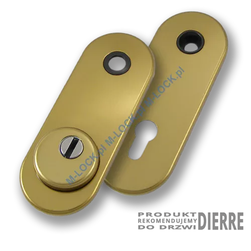 Szyld antywłamaniowy PROTECTOR AF-0338-ABd, dierre/stary mosiądz