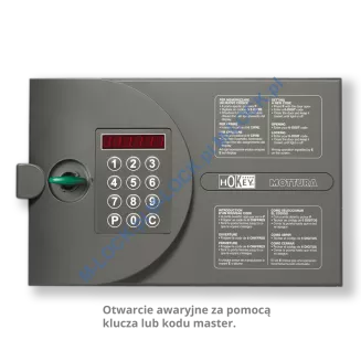 MOTTURA 10.HE8000 Duplikat 5 - 2