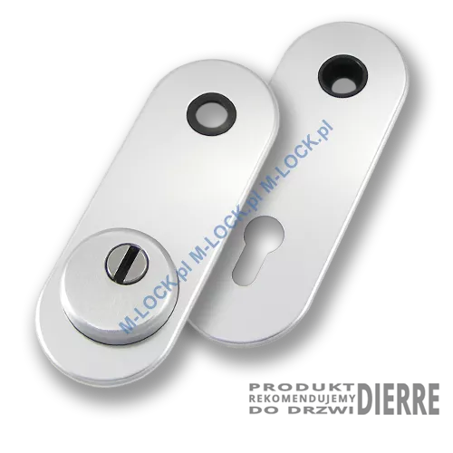 Szyld antywłamaniowy PROTECTOR AF-0338-AAd, dierre/chrom matowy