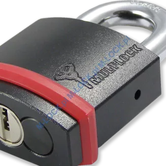 MUL-T-LOCK Interactive+ NE10G, kłódka hartowana - 3